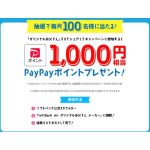 PayPayポイント1,000円相当