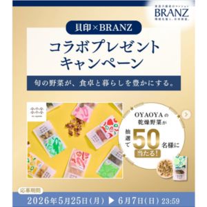 OYAOYA 乾燥野菜 15種セット 他
