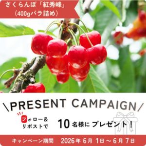 山形県産さくらんぼ「紅秀峰」400g