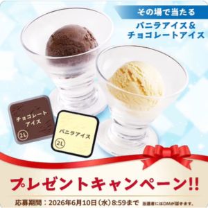 バニラアイス&チョコレートアイス