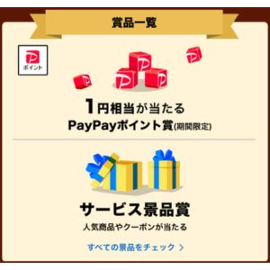 PayPayポイント1円相当 他