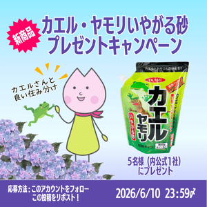 カエル・ヤモリいやがる砂