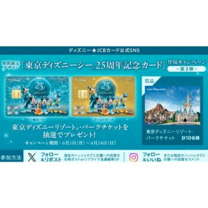 東京ディズニーリゾート・パークチケット