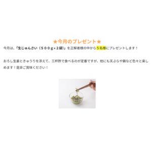 JA全農秋田 生じゅんさい（500g×2袋）