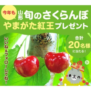 山形県産さくらんぼ「やまがた紅王」