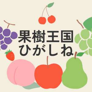 山形名物　冷たい肉そば (2人前)