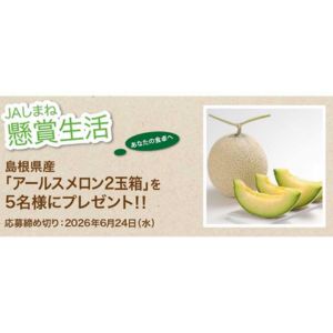 島根県産アールスメロン2玉箱