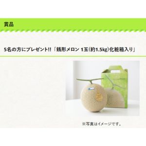 銭形メロン 1玉（約1.5）化粧箱入り
