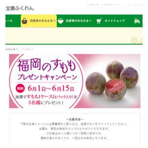 すもも1ケース（4パック入り）