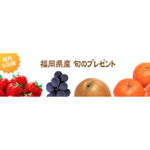福岡なし 玉水（ぎょくすい）