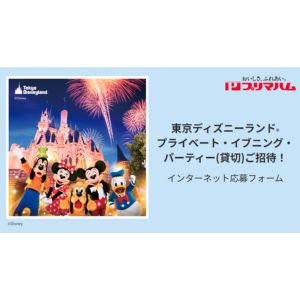 東京ディズニーランド プライベート・イブニング・パーティーチケット