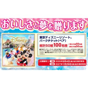 ディズニーリゾートパークチケット