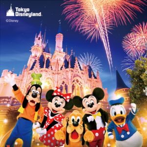 東京ディズニーランド 貸切パーティーチケット
