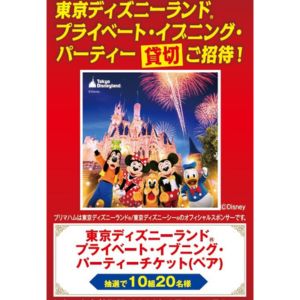 東京ディズニーランド プライベート・イブニング・パーティーチケット