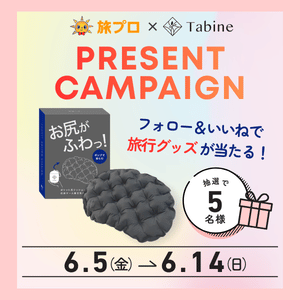 Tabine 尻クッションポンプ付き