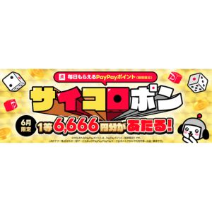 PayPayポイント6,666円相当 他