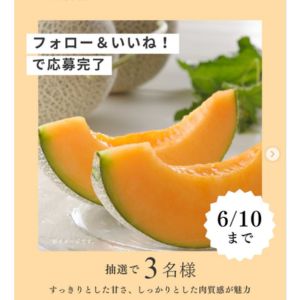 富良野メロンプレミアム 特秀 約2×1玉