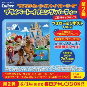 東京ディズニーランド 貸切ペアパスポート