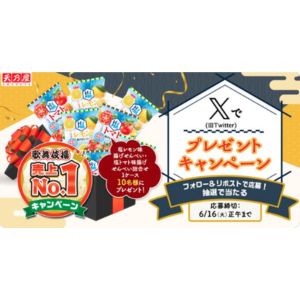 塩レモン味＆塩トマト味 揚せんべい詰合せ