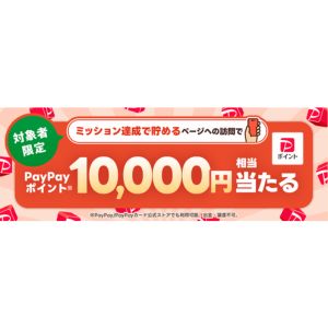 PayPayポイント1万円相当