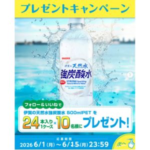 伊賀の天然水 強炭酸水 1ケース