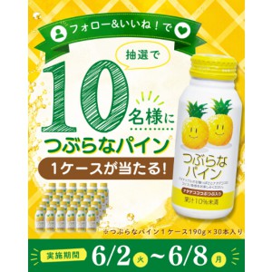 つぶらなパイン 1ケース（30本入）