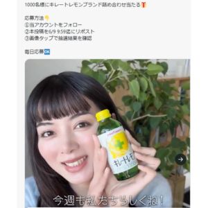 キレートレモンブランド詰め合わせ