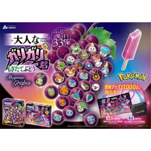 ポケモン・ガリガリ君冒険グッズ(BIGブランケットなど)