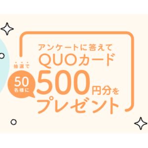 QUOカード500円分