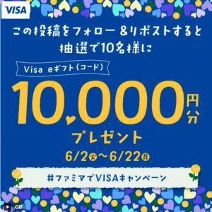 Visa eギフト（コード）1万円分