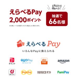 えらべるPay 2,000ポイント