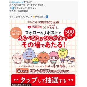 えらべるPay 500ポイント