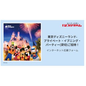 東京ディズニーランド プライベート・イブニング・パーティーチケット