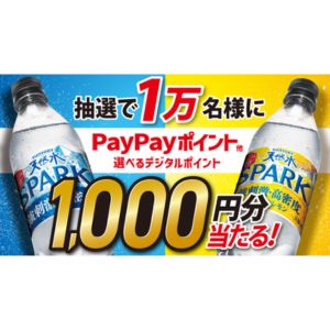 デジタルポイント 1,000円分