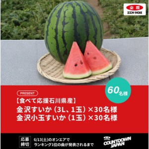 金沢すいか（3L 1玉） 他