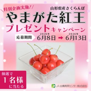 山形県産さくらんぼ「やまがた紅王」