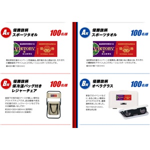 レジャーチェアなど野球応援グッズ