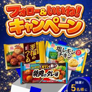 ケイエス冷凍食品 詰め合わせセット