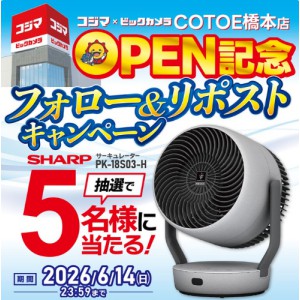 SHARP サーキュレーター PK-18S03-H
