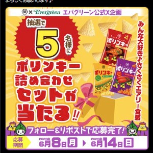 ポリンキー詰め合わせ＆ポリンキーズのクリアファイル