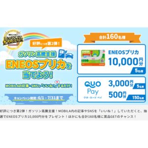 ENEOSプリカ1万円分 他