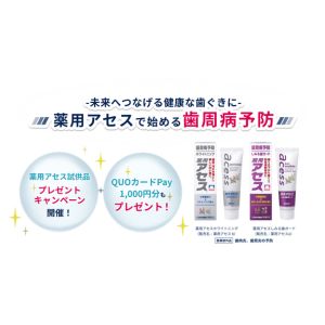 QUOカードPay 1,000円分 他