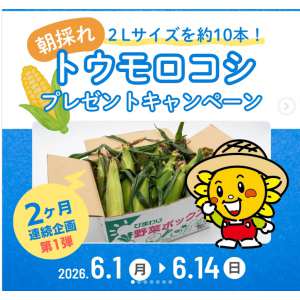 トウモロコシ1箱（10本）