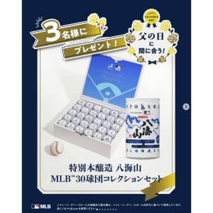 八海山 MLB30球団コレクションセット