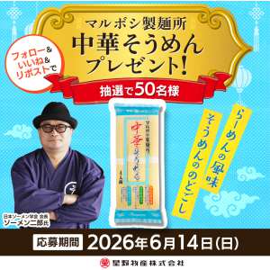 マルボシ製麺所 中華そうめん 4人前×2袋