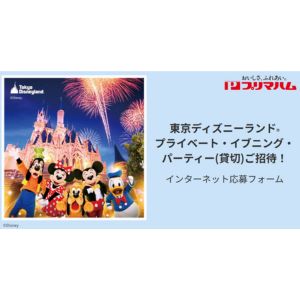 東京ディズニーランド プライベート・イブニング・パーティーチケット（ペア）