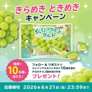 シャインマスカット10袋を含むチロルチョコ詰め合わせ