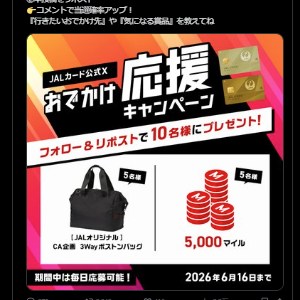 JALオリジナル 3Wayボストンバッグ 他