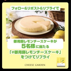 御用邸レモンチーズケーキ（1ホール）