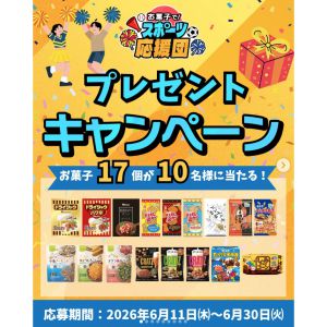 スポーツ観戦にぴったりなお菓子17品詰合